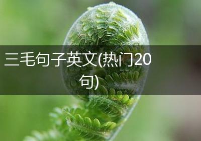 三毛句子英文(热门20句)