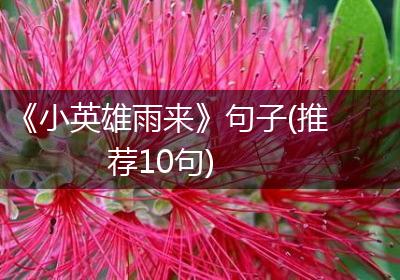 《小英雄雨来》句子(推荐10句)
