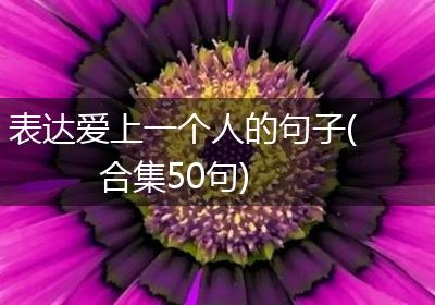 表达爱上一个人的句子(合集50句)