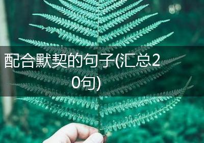配合默契的句子(汇总20句)