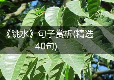 《跳水》句子赏析(精选40句)