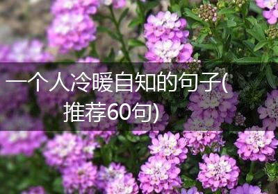 一个人冷暖自知的句子(推荐60句)