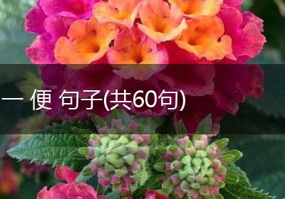 一 便 句子(共60句)