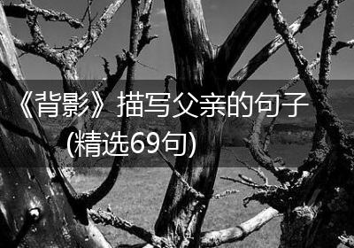 《背影》描写父亲的句子(精选69句)