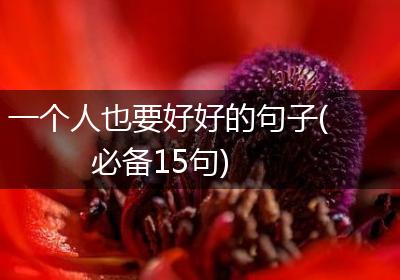 一个人也要好好的句子(必备15句)