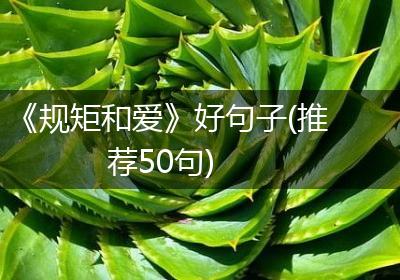 《规矩和爱》好句子(推荐50句)
