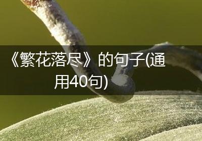 《繁花落尽》的句子(通用40句)