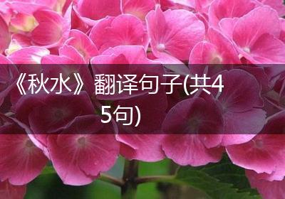《秋水》翻译句子(共45句)