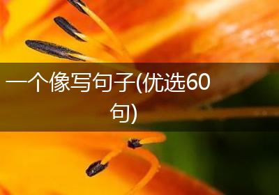 一个像写句子(优选60句)