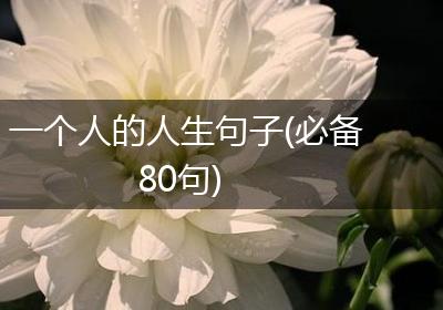 一个人的人生句子(必备80句)