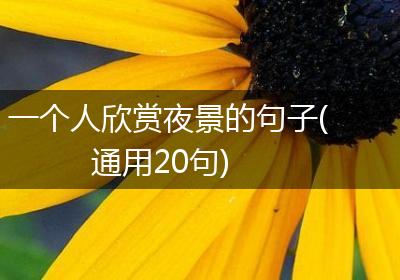 一个人欣赏夜景的句子(通用20句)