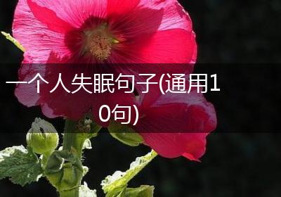 一个人失眠句子(通用10句)