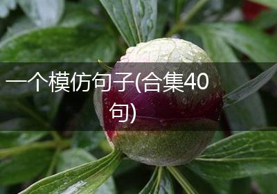 一个模仿句子(合集40句)