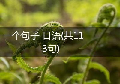 一个句子 日语(共113句)