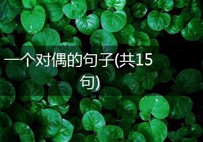 一个对偶的句子(共15句)