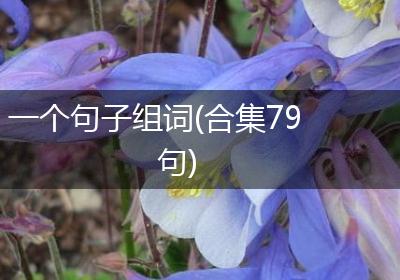 一个句子组词(合集79句)