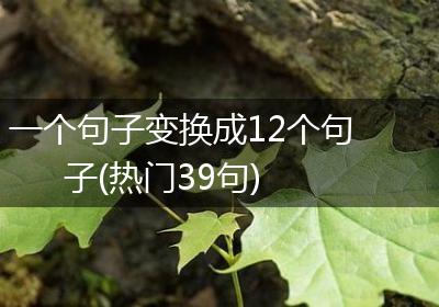 一个句子变换成12个句子(热门39句)