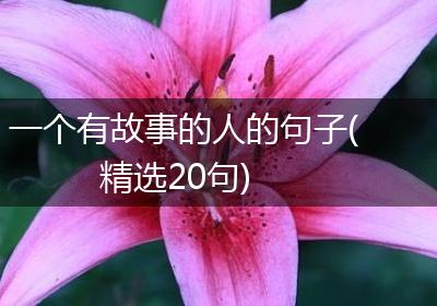 一个有故事的人的句子(精选20句)