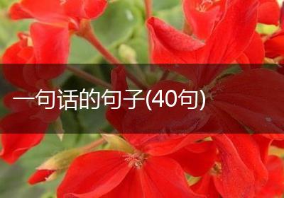 一句话的句子(40句)