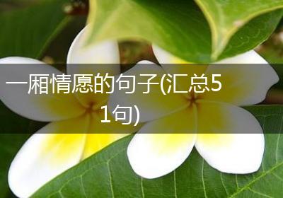 一厢情愿的句子(汇总51句)