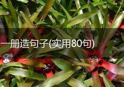 一册造句子(实用80句)