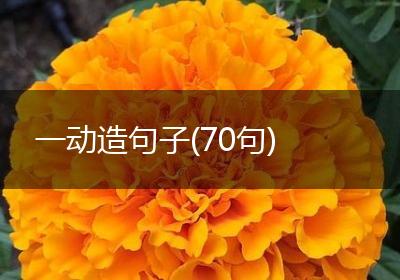 一动造句子(70句)
