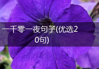 一千零一夜句子(优选20句)