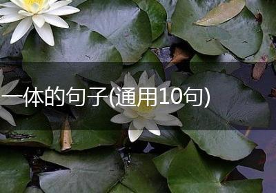 一体的句子(通用10句)