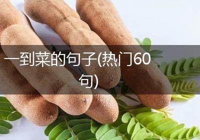 一到菜的句子(热门60句)