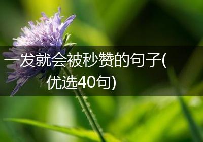 一发就会被秒赞的句子(优选40句)