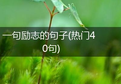一句励志的句子(热门40句)