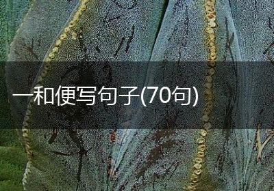 一和便写句子(70句)