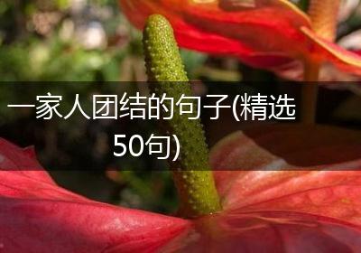 一家人团结的句子(精选50句)