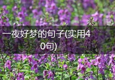 一夜好梦的句子(实用40句)