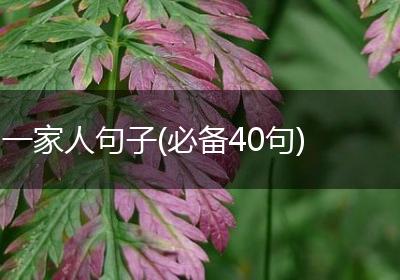 一家人句子(必备40句)