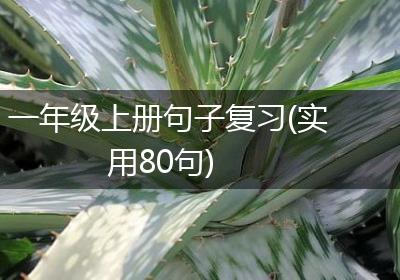 一年级上册句子复习(实用80句)