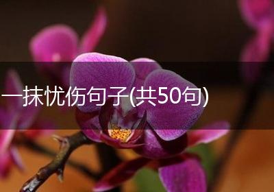 一抹忧伤句子(共50句)