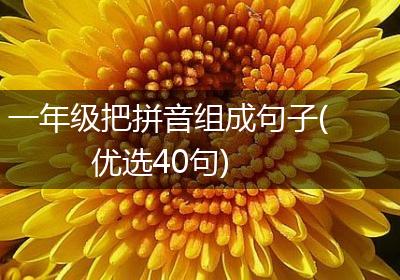 一年级把拼音组成句子(优选40句)