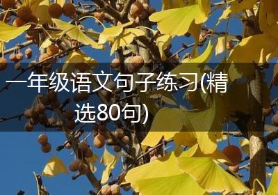 一年级语文句子练习(精选80句)