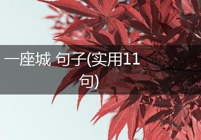 一座城 句子(实用11句)