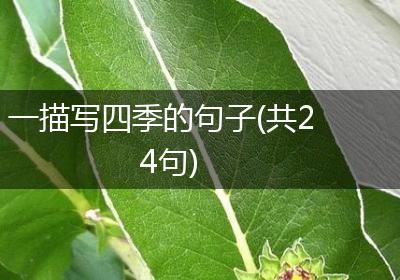 一描写四季的句子(共24句)