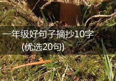 一年级好句子摘抄10字(优选20句)
