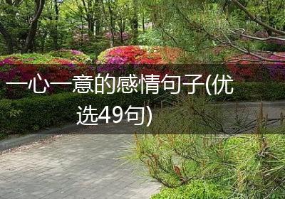 一心一意的感情句子(优选49句)