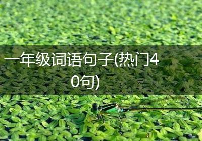 一年级词语句子(热门40句)