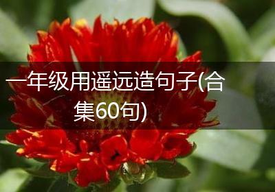 一年级用遥远造句子(合集60句)