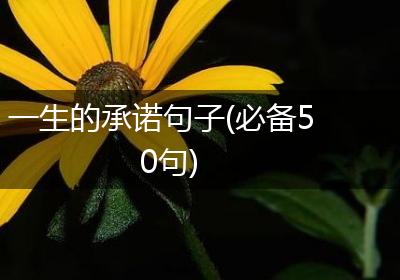 一生的承诺句子(必备50句)