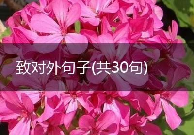 一致对外句子(共30句)