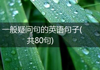 一般疑问句的英语句子(共80句)