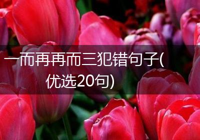 一而再再而三犯错句子(优选20句)