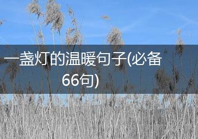 一盏灯的温暖句子(必备66句)